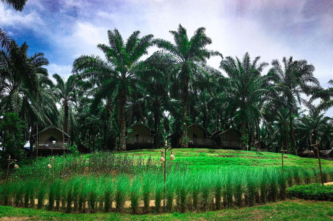 Khaosok Boutique Hideaway Hotel Phanom Eksteriør billede